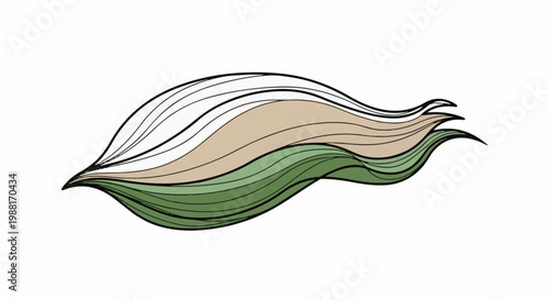 Abstract flowing wavy lines in white, tan, and green