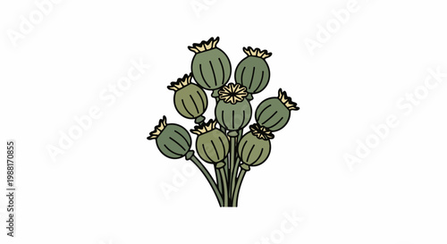 A bunch of green poppy seed heads with yellow tops