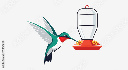 Tiny hummingbird with green, white, and red plumage sips nectar from a feeder