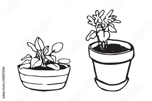 Φωτογραφία Set two potted plants doodle sketch
