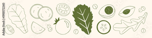 Vector hand drawn set of doodle salad ingredients with lettuce leaf, radish, cucumber, tomato, avocado, pea, arugula. Minimal outline monochrome vegetables for menu, recipe and healthy food design.