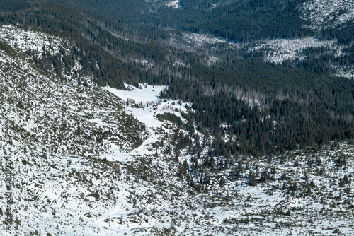 Snow-covered valley in a forest during winter with trees and mountains in the background. Gąsienicowa Valley, Murowaniec Shelter, Zakopane, Tatra mountains, Poland