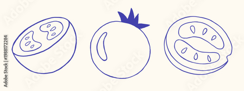 Vector mediterranean blue hand drawn doodle outline monochrome collection of ripe tomatoes. Whole vegetable and cut halves with simple seed chambers. Tomato set for menu and vegan branding projects.