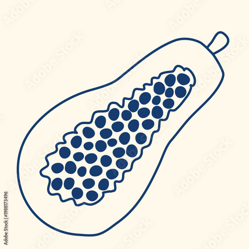 An exotic, tropical, ripe papaya, done in doodle style. Blue ink drawing of half papaya with seeds. Healthy organic food, vector graphics