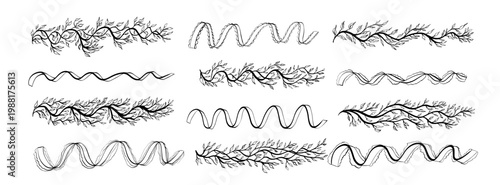 Vintage party menu botanical, lace dividers with hand-drawn flourishes and ornate plant motif. Vector rustic decorative element with organic tree branch design, ribbons for wedding invitation, frame.