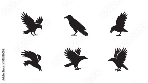 Set of black and white bird silhouettes representing crows or ravens in flight poses for design