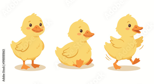 Adorable little ducklings in sequence sitting, standing, and walking