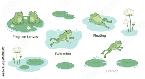 Vector illustration set of green frogs showcasing various activities on lily pads and in water