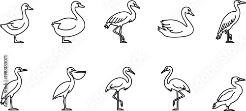 Minimal outline water bird icon set with duck swan flamingo pelican and heron line illustrations for wildlife design