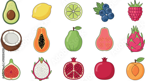 Hand drawn tropical fruit icon set with avocado lemon lime blueberry raspberry coconut papaya guava fig dragonfruit pomegranate