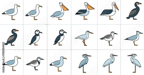 Water bird icon set with seagull pelican heron cormorant and shorebirds in flat minimal style for coastal wildlife design
