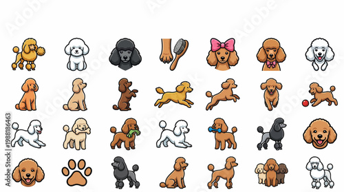 Adorable Cartoon Poodle Clipart Set with Diverse Breeds and Playful Poses