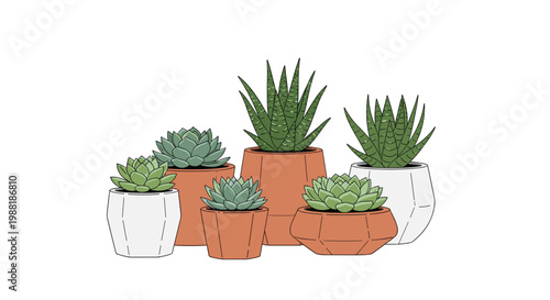 A charming collection of six diverse green succulent plants is meticulously arranged in a variety of white and terracotta geometric ceramic pots on white.