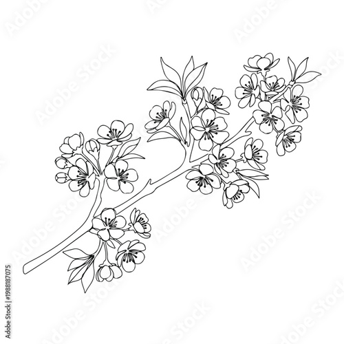 椿の枝に咲く花のイラスト。自然の美しさや春の訪れを象徴するデザインは、さまざまなアートプロジェクトやデコレーションに最適です