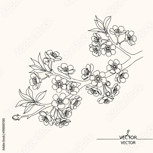 花の枝に咲く桜の花が描かれている。春の到来を告げる美しい景色を表現している。自然や風景に関連するテーマやデザインに役立つ
