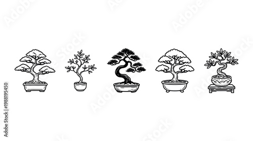 Five different stylized bonsai trees in pots showcase the ancient Japanese art of miniature tree cultivation and aesthetic beauty.