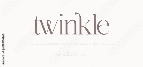 Twinkle Luxury font alphabet logo. Typography beautiful fashion elegant classic letters serif italic fonts decorative wedding vintage blossom logos. vector illustration
