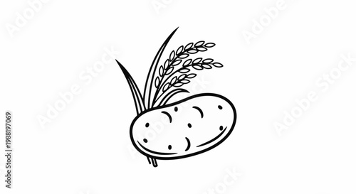 Simple line art of a potato with emerging rice stalks and leaves