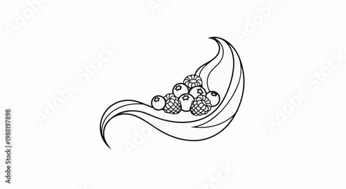 Line art illustration of fresh berries, including blueberries and raspberries, nestled among flowing leaves