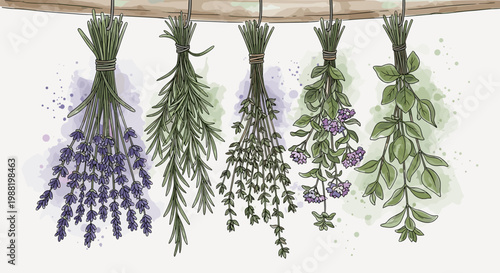 Artistic illustration of fresh herbs drying on a wooden beam with watercolor splashes, featuring lavender, rosemary, thyme, and sage in a rustic arrangement