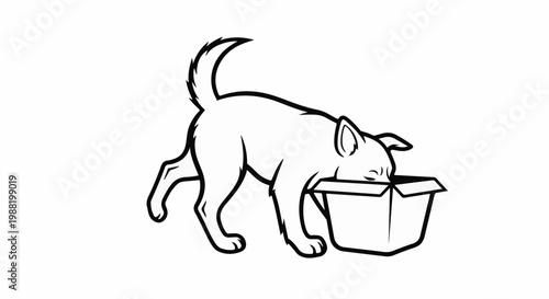 Playful dog peeks its head into an open cardboard box