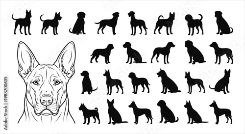 Collection of dog silhouettes and illustration with white background