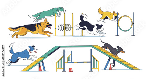 Energetic Dogs Competing in an Agility Course, Beautiful Illustration and Active Training