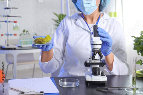 Female agricultural engineer with moss sample and microscope in laboratory