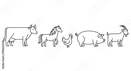 Farm animals standing in line.