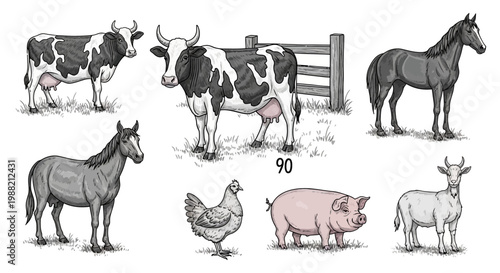Farm animals standing in fields freely.