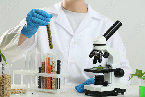 Female scientist with microscope, test tubes of grains and cereals on white t...