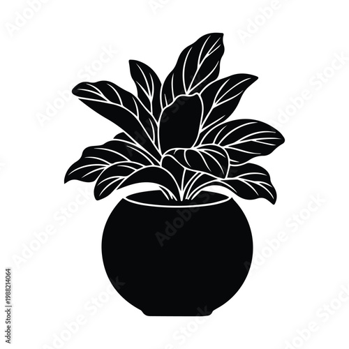 Potted houseplant in round bowl isolated vector silhouette