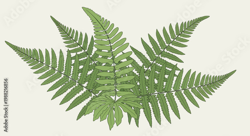 Green Fern Leaves Pattern on Light Background