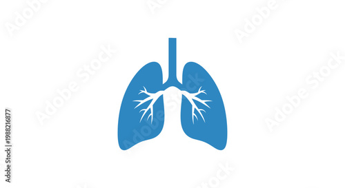 Human Lung Anatomy Illustration.
