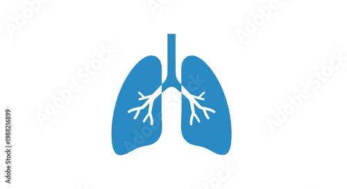 Human Lung Anatomy Illustration.