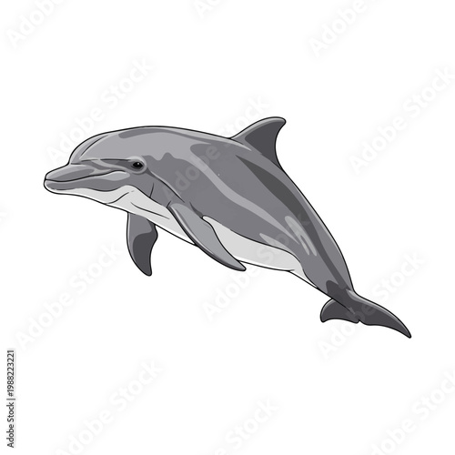 Leaping dolphin against a pure white backdrop clean and simple design