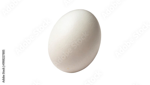 Bild auf Leinwand White egg sits on a plain white background in a simple setup for cooking and bak