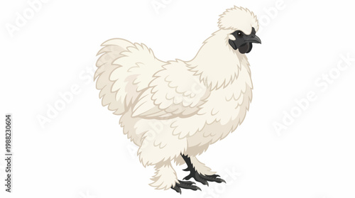 White Silkie Chicken - Fluffy Domestic Bird Illustration
