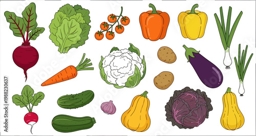 Colorful Fresh Vegetable Collection Set with Cabbage Pepper Carrot Eggplant Zucchini Beet and Organic Produce for Food Design