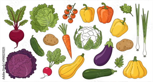Colorful Fresh Vegetable Collection Set with Cabbage Pepper Carrot Eggplant Zucchini Beet and Organic Produce for Food Design