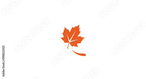 Canvas Print Single Orange Maple Leaf Falling Slowly.