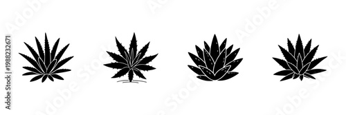 Silhouette Of Various Succulent Plants In Hand Drawn Style Set. Botanical Illustration, Nature Elements, Desert Flora Doodle Sketch Collection. Isolated Vector Illustration