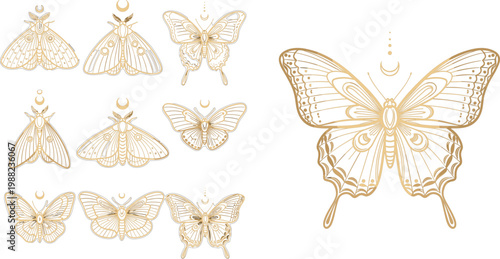 Luxury Golden Celestial Butterfly and Moth Collection Set with Moon Symbol on Dark Background for Mystical Boho Design