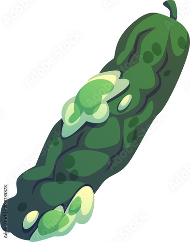 Cucumber with Dirty Mold