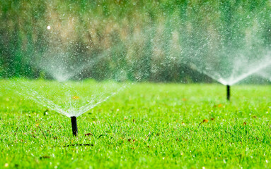 Leinwandbilder Olivgrün Automatic lawn sprinkler watering green grass in garden with adjustable head system, irrigation technology for water conservation and efficient landscape maintenance, outdoor residential yard care.  © Fahroni