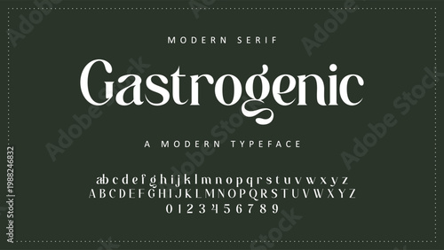 Luxury wedding alphabet letters font with tails. Typography elegant classic serif fonts and number decorative vintage retro concept for logo branding. vector illustration