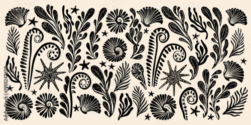 Black and white botanical illustration featuring shells ferns and starfish