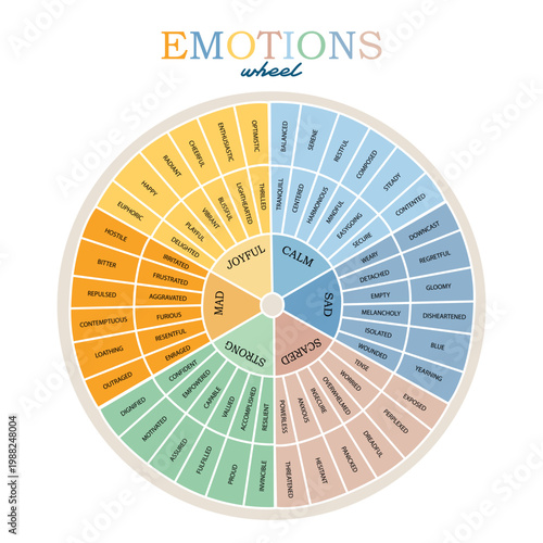 Vector Emotions Wheel colorful infographic
