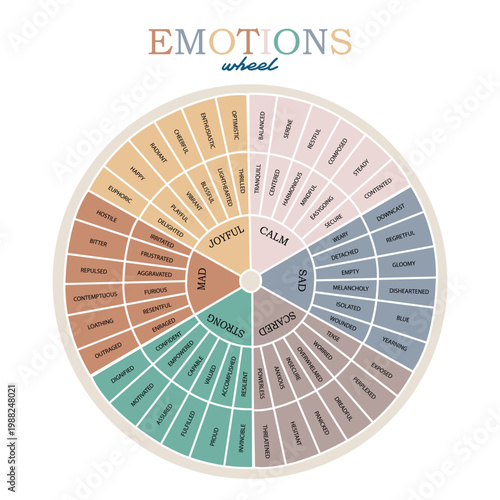 Vector Emotions Wheel colorful infographic