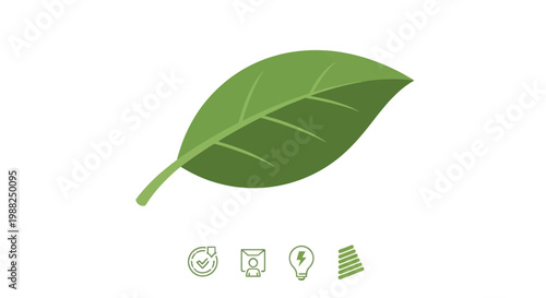 A single green leaf icon with small abstract botanical symbols below. EPS Editable. Vector Illustrations.